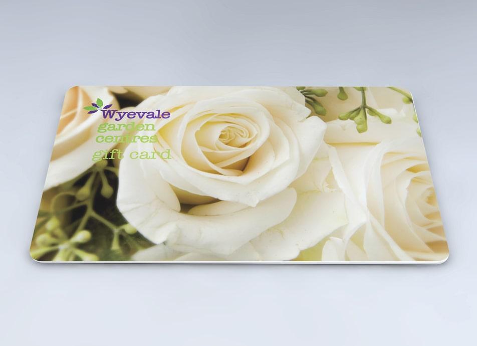 Wyevale Garden Centres Gift Card with image of white Rose